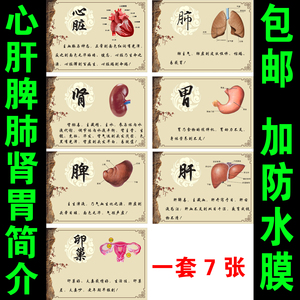 中医养生宣传海报挂图心肝脾肺肾胃卵巢养生简介中医文化装饰挂画