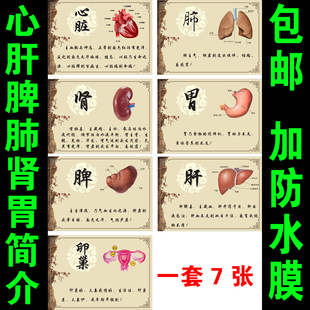 中医养生宣传海报挂图心肝脾肺肾胃卵巢养生简介中医文化装饰挂画