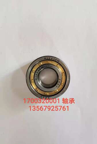 合力/宁波力达/170H/1700320001轴承 NJ203EM