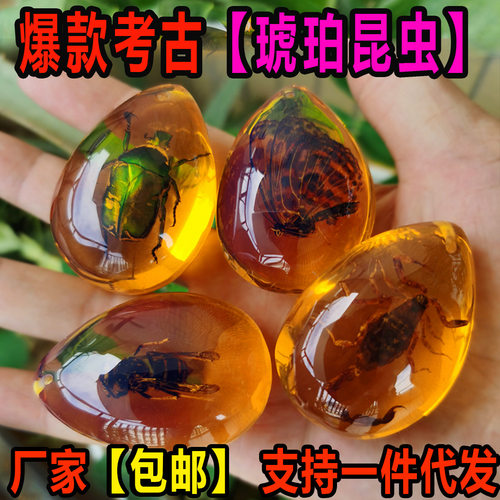 儿童考古挖掘玩具琥珀恐龙化石宝
