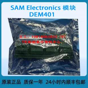 SAM Elerocs 模块 DEM401