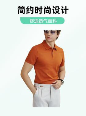 男士商务休闲Polo衫翻领短袖T恤棉质半袖上衣服百搭
