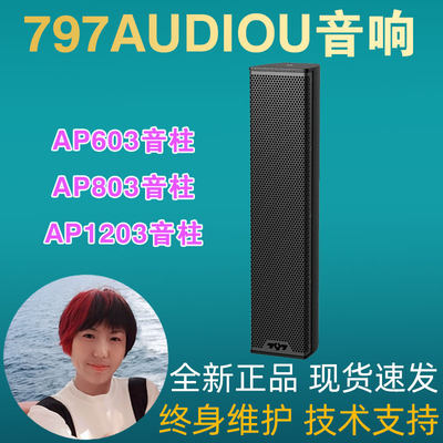 北京797AUDIO专业音柱音箱