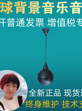 nniaolin吊球音响MQ-606E K 吊装音箱酒店餐厅咖啡厅背景音乐喇叭