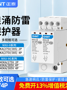 正泰浪涌防雷保护器NXU-II2p家用避雷器4p监控电源防雷器电涌开关