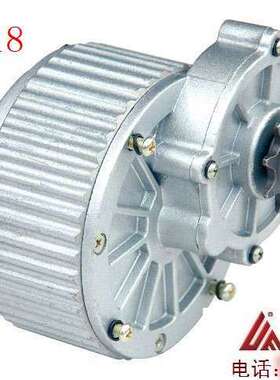 尤奈特磁直流有刷减速电机MY1018-450W24V 36v电动自行车车配件