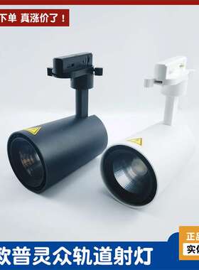 轨道灯轨道射灯普瑞店铺軌道燈明装导轨灯led射灯COB中山