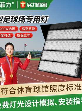 户外模组球场灯 1000W广场码头高杆投射灯 LED足球场照明灯