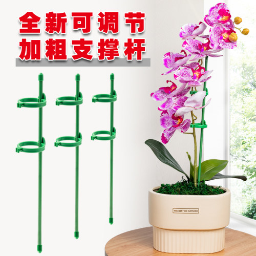 【所有绿植通用】防倒伏支撑杆