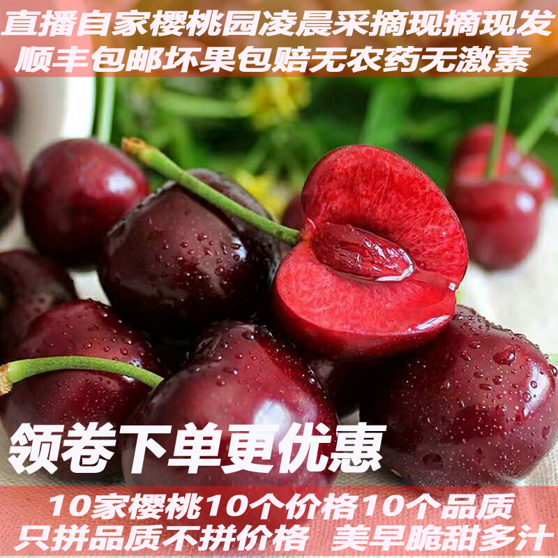 现货美早大樱桃新鲜车厘子山东烟台现摘现发应季孕妇水果整箱包邮