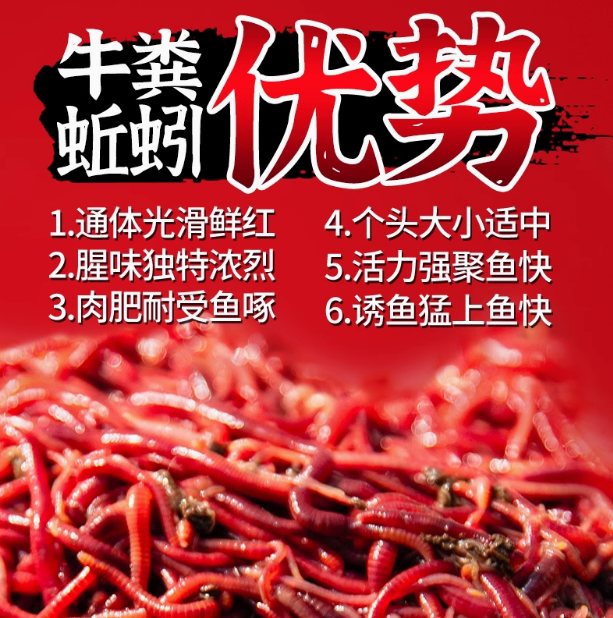 蚯蚓活饵鲜活红虫垂钓鱼饵料鲫鱼鲤鱼野钓黑坑鱼料打窝料鱼食通杀