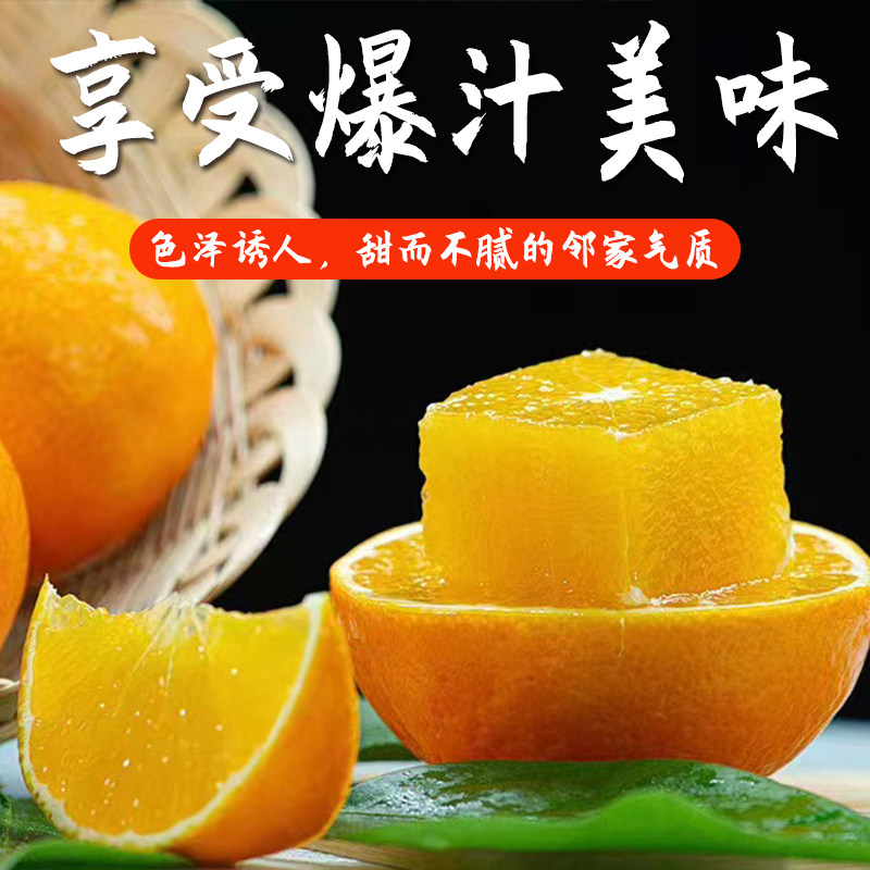 海宁尖山红美人黄湾橘子新鲜水果当季整箱现摘果冻橙桔子爱媛28号