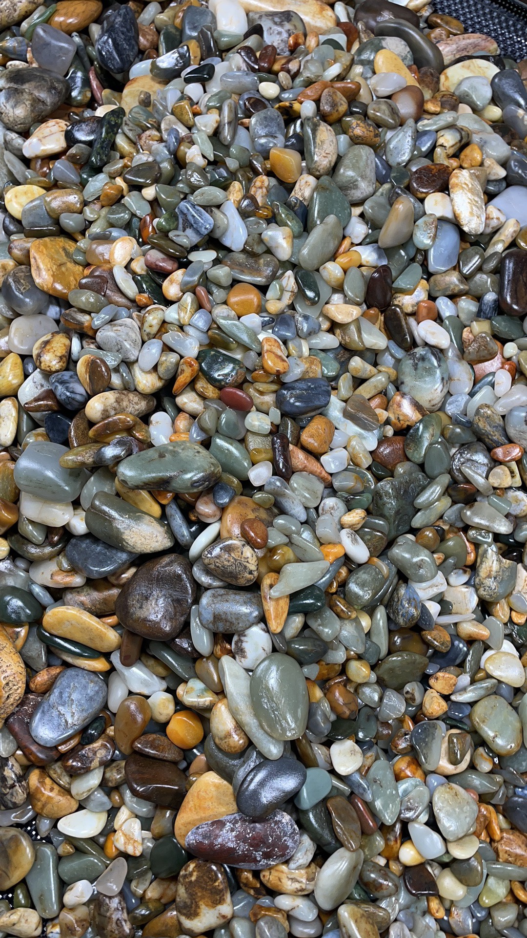 直播间看货链接运费链接