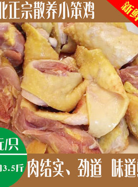 散养肉质紧实东北土鸡大三黄鸡