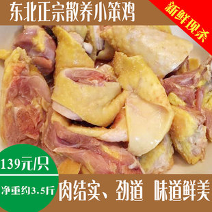 2025东北小笨鸡正宗农村散养大公鸡活鸡新鲜现杀农家溜达土鸡柴鸡