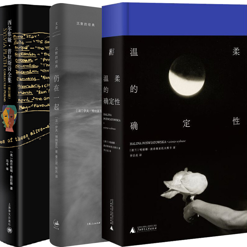 温柔的确定性仍在一起西尔维3册