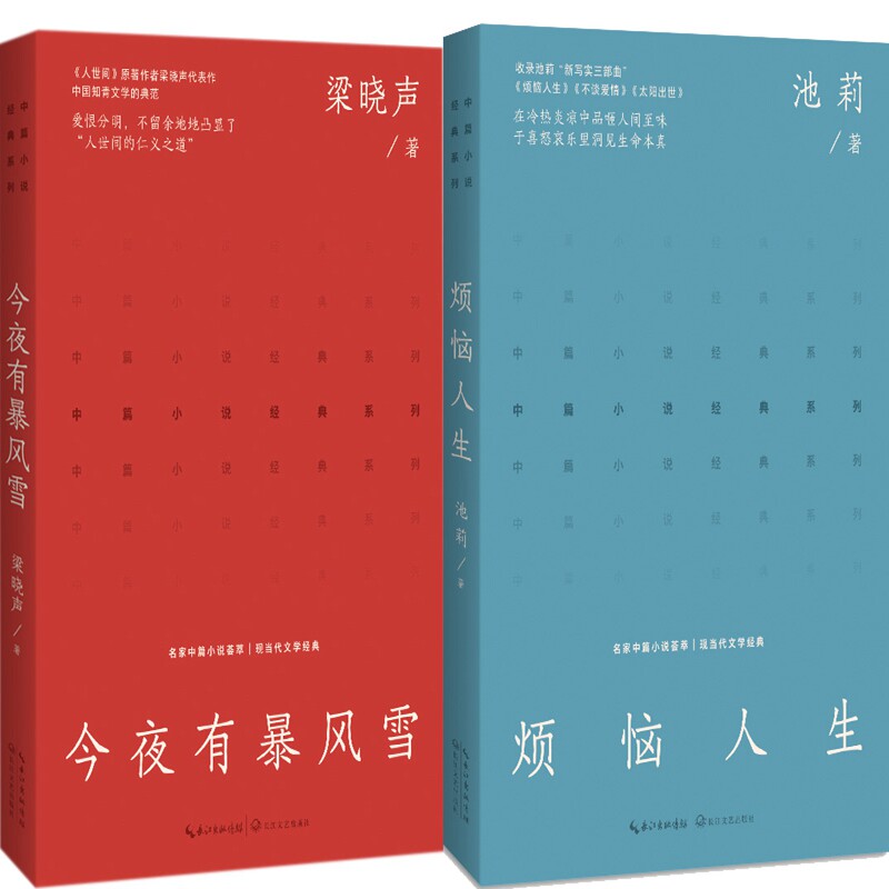 烦恼人生 今夜有暴风雪共2册 中篇小说经典系列 作者:池莉 梁晓声 著