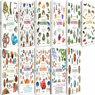 自然博物馆丛书11册 蛇类博物馆+种子博物馆+毛虫博物馆+鸟卵博物馆+树叶博物馆+病毒博物馆+蛙类博物馆+甲虫博物馆+蘑菇博物馆等