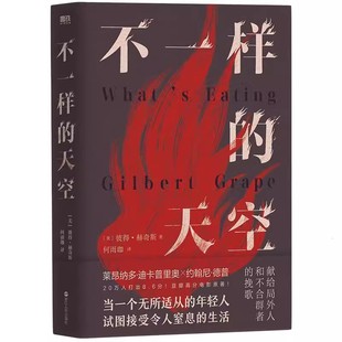 美 彼得·赫奇斯著 社 天空 浙江人民出版 出版 作者 著 不一样 何雨珈译