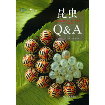 昆虫Q&A(自然观察丛书) 作者:朱耀沂 出版社:商务印书馆使用感如何?