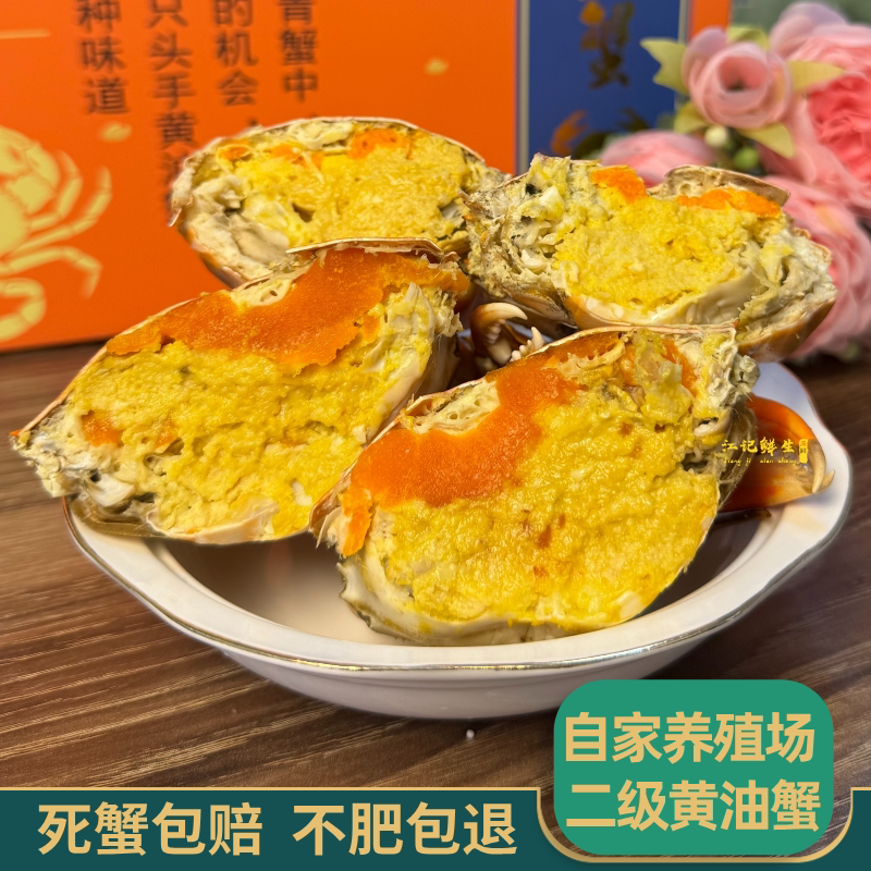 江记鲜生黄油蟹膏油蟹青蟹全母蟹
