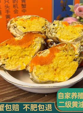 江记鲜生黄油蟹膏油蟹青蟹全母蟹