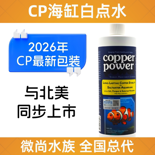 海缸白点检疫隔离海化白点水CP
