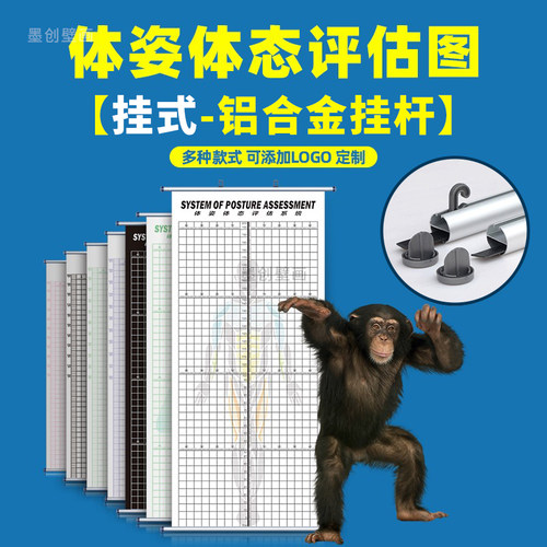 挂式健身私教简约体姿瑜伽背景墙