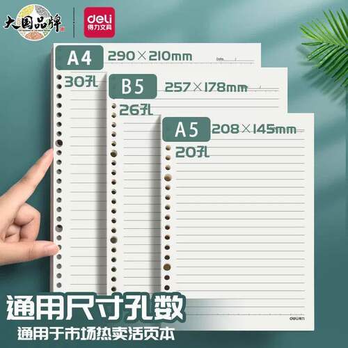 得力活页替芯A5/A4网格横线