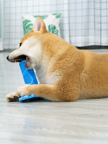 Dog Toy 13 -Year -Sold храните 15 цветов игрушек, игрушек, больших собак, измельчения зубов, измельчения зубов, зубов, зубов, зубной щетки Shiba in