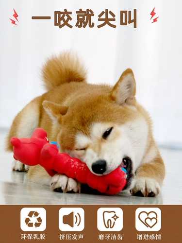 Магазин возвращает более 10 000 цветов в расстегнутые домашние собаки, голосовающие игрушки, измельчение зубов, Шиба Ину Бомей Маленький и Средний Собачья латекс