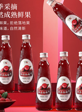 顺丰包邮聚仙庄丫梅杨梅汁258mlX6调制果汁饮料果蔬汁苹果葡萄汁