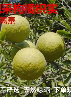 中药材新鲜枸橘果野生新货小橘子铁篱笆臭橘枸橘梨 枸橘李 苦橘子