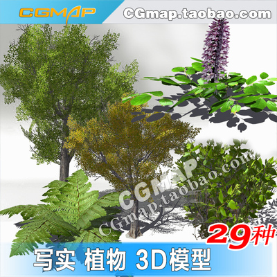 写实次世代植物模型低模花草树木设计unity3Dmax模型游戏场景资源