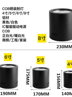 明装led免开孔黑色圆形玄关射灯