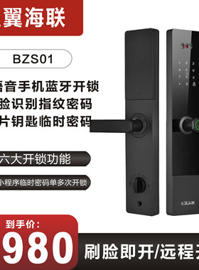 BZS01智能锁指纹密码刷卡人脸识别AI语音设置