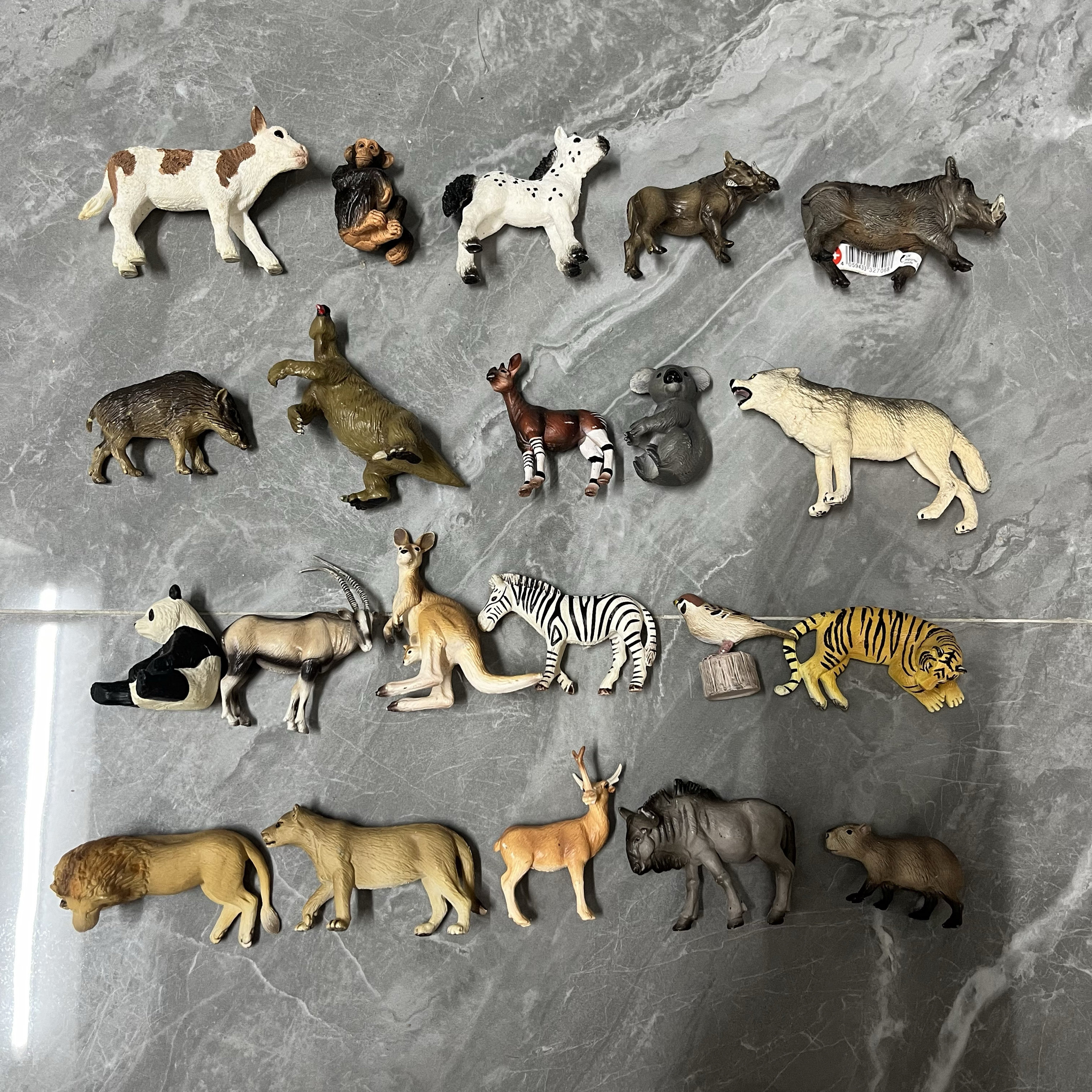 思乐仿真野生动物非洲动物狮子老虎角马疣猪大熊猫狼考拉模型玩具
