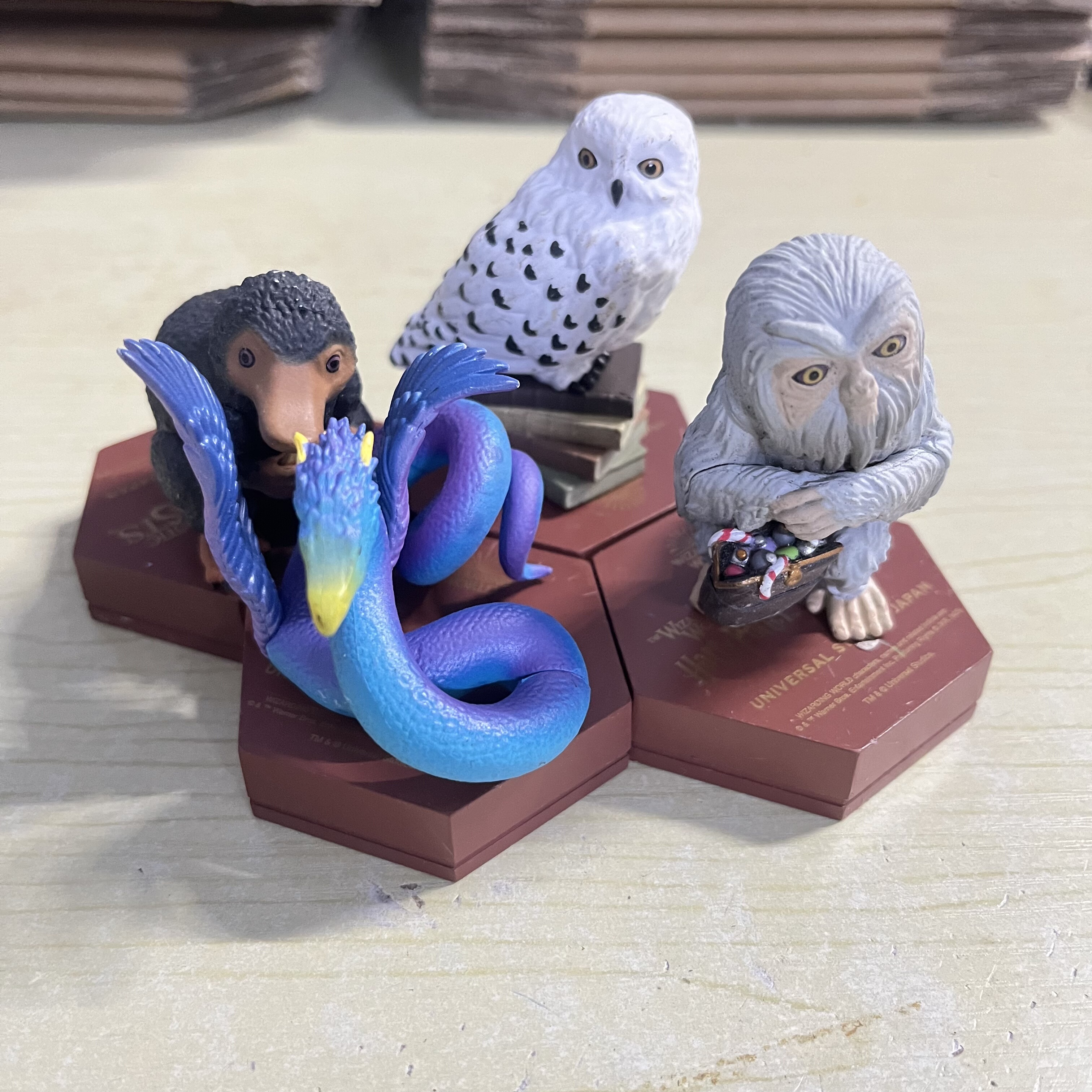 日本限定USJ环球影城哈利波特神奇动物海德薇福克斯盲盒手办礼物