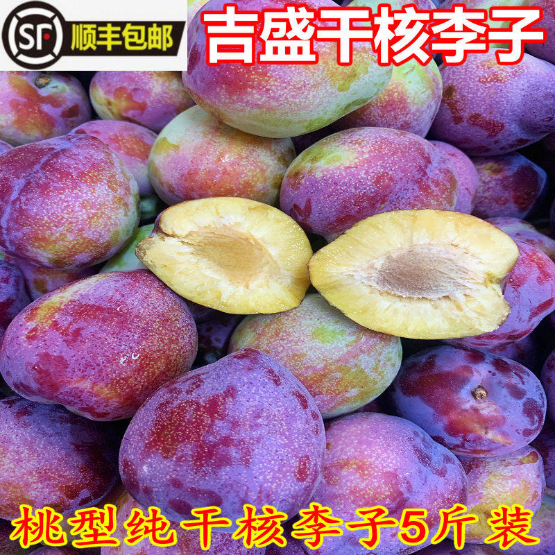 吉盛李子东北干核李子香蕉李子大红袍李子干碗李子顺丰包邮5斤装