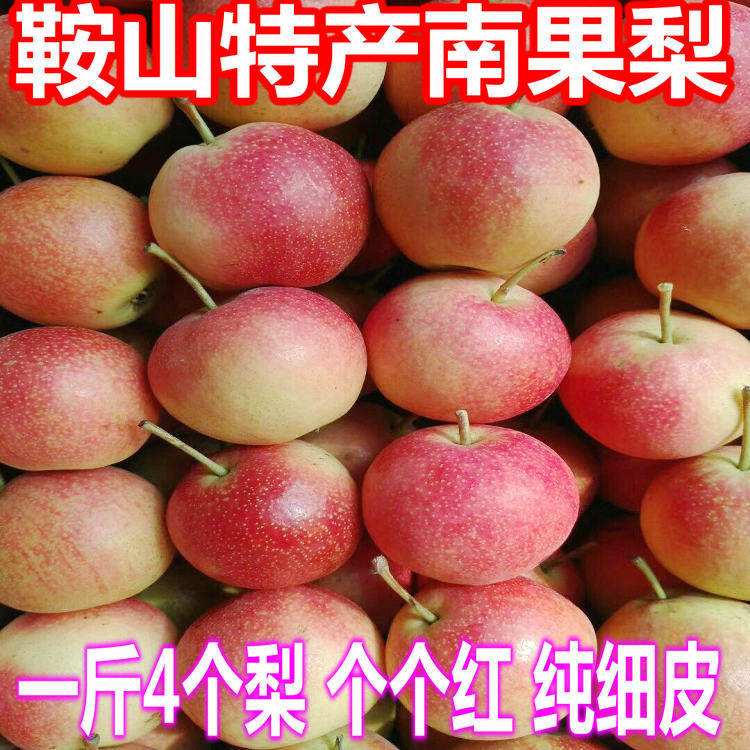 一等大红南果梨鞍山特产安国梨南梨