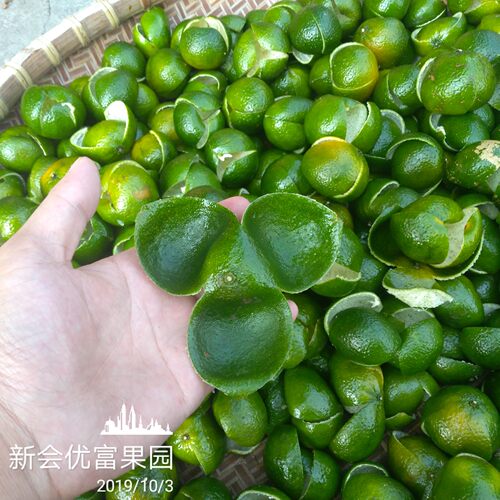 广东江门特产老树果纯青陈皮干