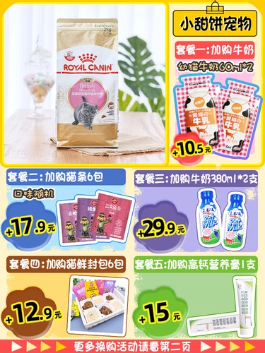 Королевская британская кошачья кошка кошка британская короткая синяя 2 кг британская короткая короткая кошка BSK38 кошачий котенок котенок котенок градиент золота