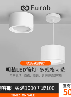 【美国普瑞】商用白色15W吊装4寸明装主灯吸顶吊灯筒灯店铺办公