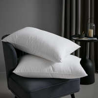 All-cotton feather silk pillow, down pillow core, 48*74cm single pillow, pair of pillow cores, genuine special offer with free shipping thumbnail 4