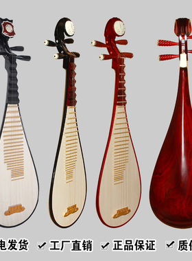 硬木琵琶红花梨木椿木鸡翅木成人青年儿童幼儿小黑色练习北方乐器