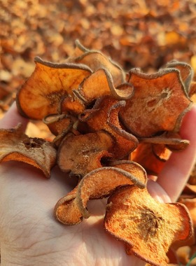 青龙酸梨干 山梨干 老树老品种酸梨农家天然晾晒梨干