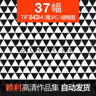 布里奇特赖利油画高清电子图片欧普艺术抽象图案喷绘装饰画素材图