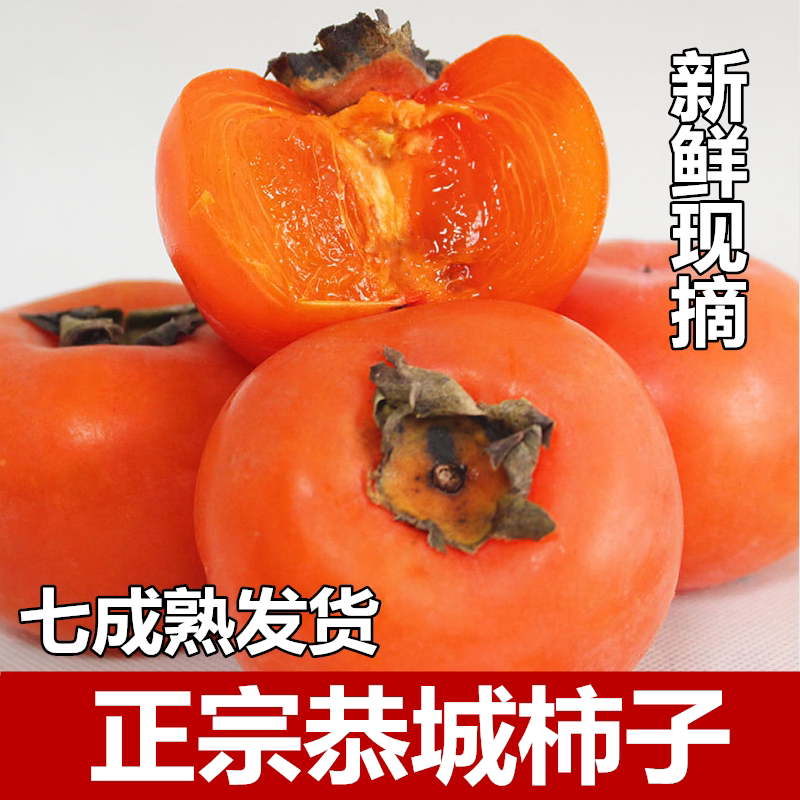 现摘红柿子超甜软柿子新鲜水果甜柿子当季时令火柿子水晶柿黄柿子