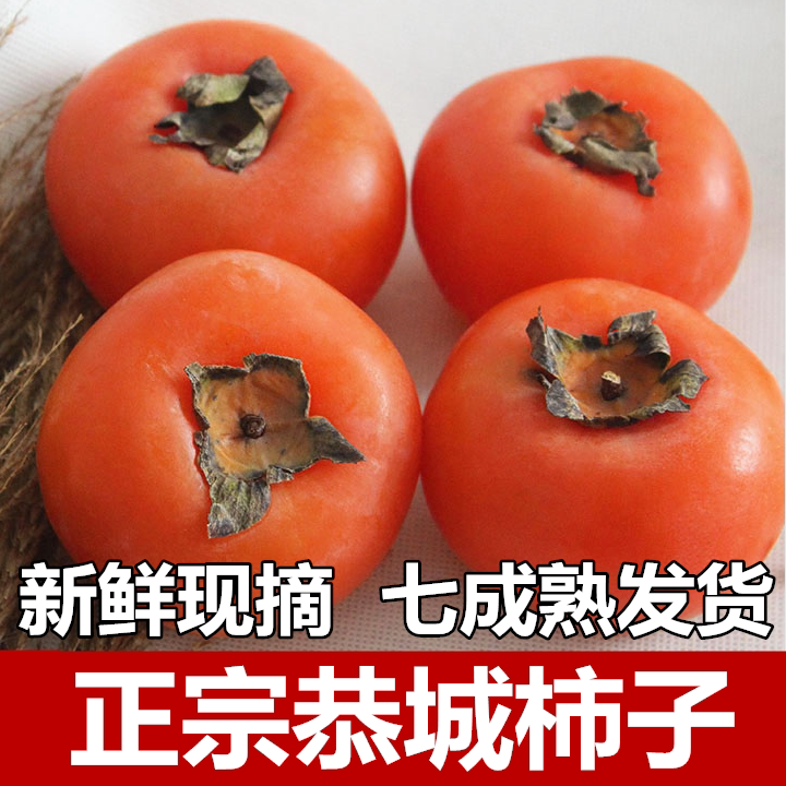 正宗恭城甜柿子新鲜现摘现发