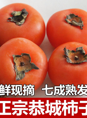 正宗恭城甜柿子新鲜现摘现发